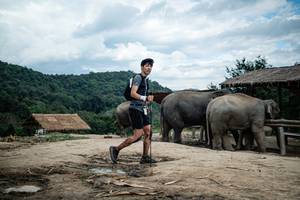 BIB: 
                            <button type="button" onclick="openModal(22423443)" class="btn btn-primary btn-sm float-right btn-popup" data-toggle="modal" data-target=".modal-high-quality">
                        <i class="fas fa-shopping-cart"></i> Add to Cart
                    </button>
                                            <button type="button" onclick="isThisMe(22423443, true)" class="btn btn-success btn-sm float-right btn-popup btn-isme hidden" data-toggle="tooltip" data-placement="bottom" title="นี่คือรูปของคุณใช่ไหม คลิกที่นี่เพื่อเอาเข้าอัลบั้ม">
                        <i class="fas fa-plus"></i> Add to album
                    </button>
                    <button type="button" onclick="isThisMe(22423443, false)" class="btn btn-warning btn-sm float-right btn-popup btn-isnotme hidden">
                        <i class="fas fa-ban"></i> Remove from album
                    </button>